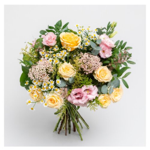 Appassionata Loves Summer €80