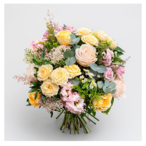 Appassionata Loves Summer €100