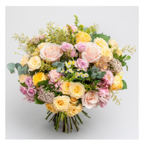 Appassionata Loves Summer €120