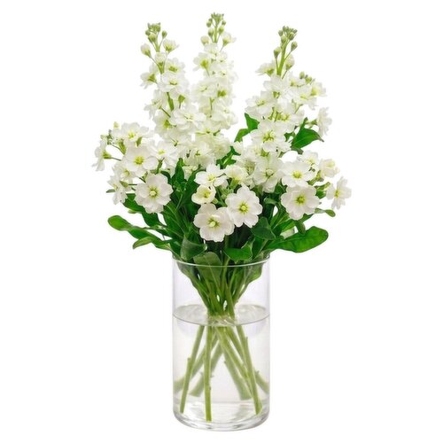 Dunnes Stores Scented Stock & Bouvardia Bouquet