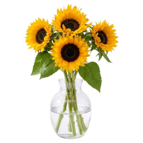 Dunnes Stores Sunflower Bunch