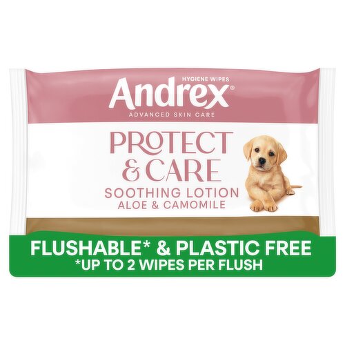 Andrex Protect & Care Hygiene Wipes Moist Toilet Tissue Single pack