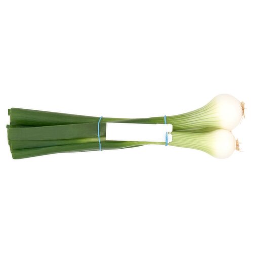  Jumbo Scallions 130g
