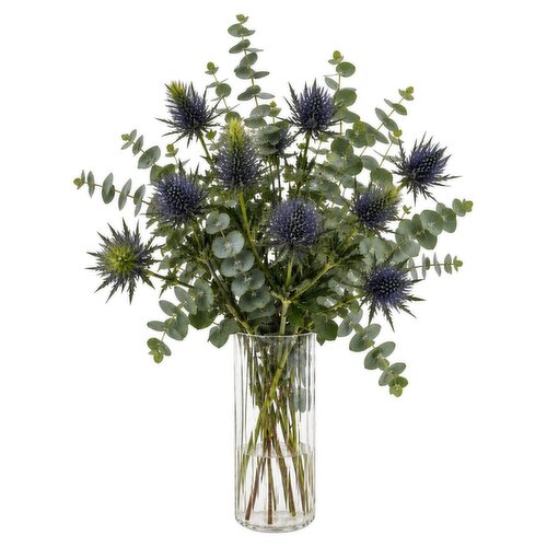 Dunnes Stores Eucalyptus & Eryngium Bunch