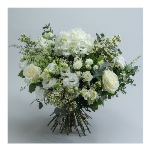 A White Appassionata €150