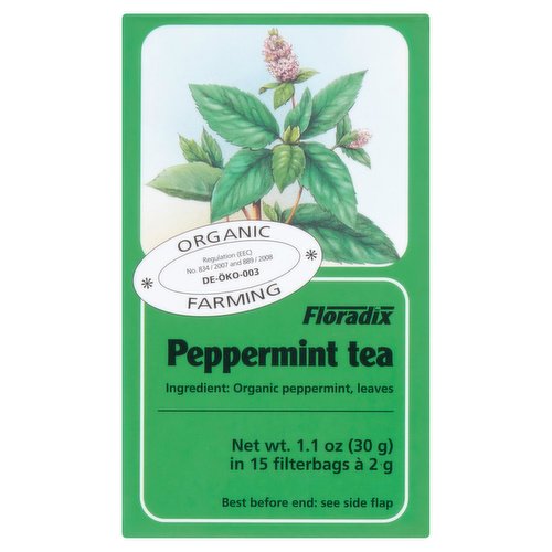 Floradix Peppermint Tea 15 Filterbags 30g