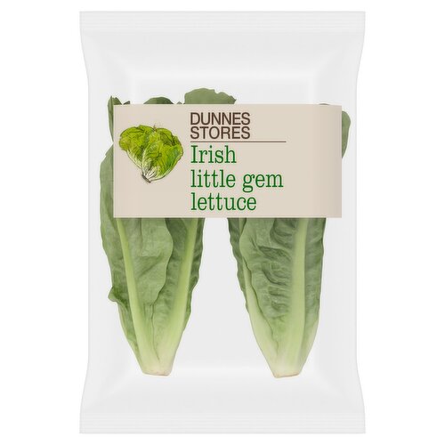 Dunnes Stores Irish Little Gem Lettuce
