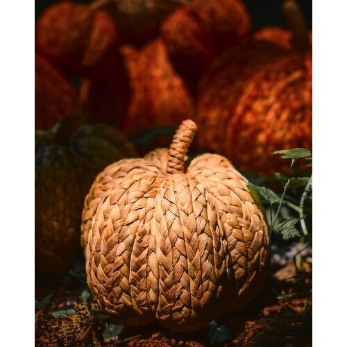 Medium Corn Husk Pumpkin Natural M