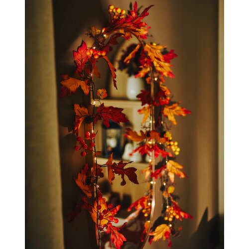 Harvest LED Garland Multi