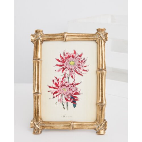 Carolyn Donnelly Eclectic Rectangular Frame Gold