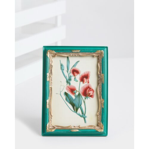 Carolyn Donnelly Eclectic Design Frame Multi