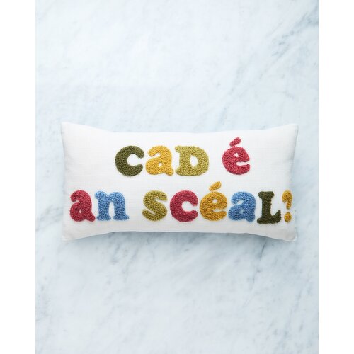 Helen James Considered Cad É An Scéal? Cushion Multi