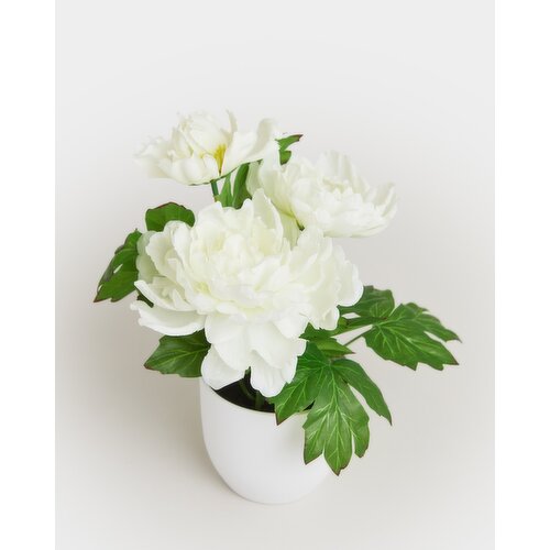 Faux Small Potted Plant Cream